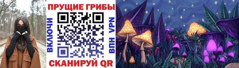 Галлюциногенные грибы MAGIC MUSHROOMS  Купить закладки  Зуевка 