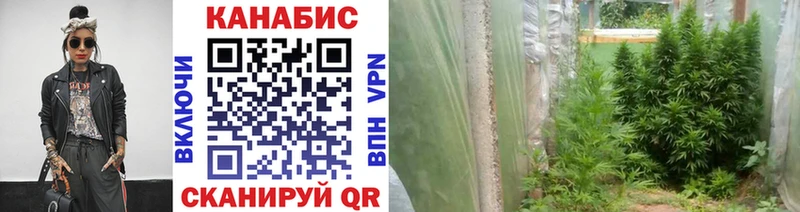 Канабис OG Kush  Купить  Зуевка 
